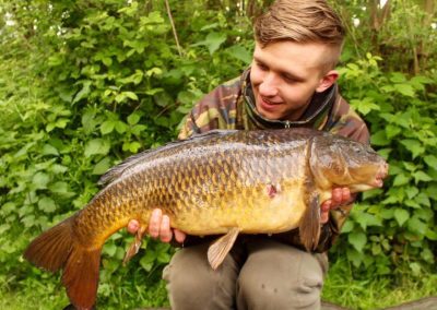 14lb Common