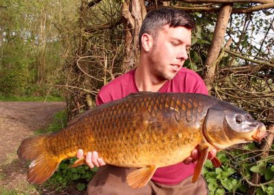 15lb Common