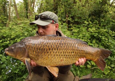 18lb Common